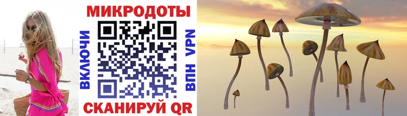 Псилоцибиновые грибы прущие грибы  Купить где  Элиста 