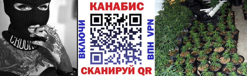 Купить  Элиста  Бошки марихуана LSD WEED